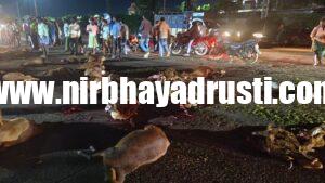 ಕುರಿಗಳ ಸಾವಿನಿಂದ ಕಂಗಾಲಾದ ಕುರಿಗಾಯಿ ಮಾಲಕನಿಗೆ ಮುಖ್ಯಮಂತ್ರಿಗಳು ಸೂಕ್ತ ಪರಿಹಾರ ನೀಡಬೇಕು.