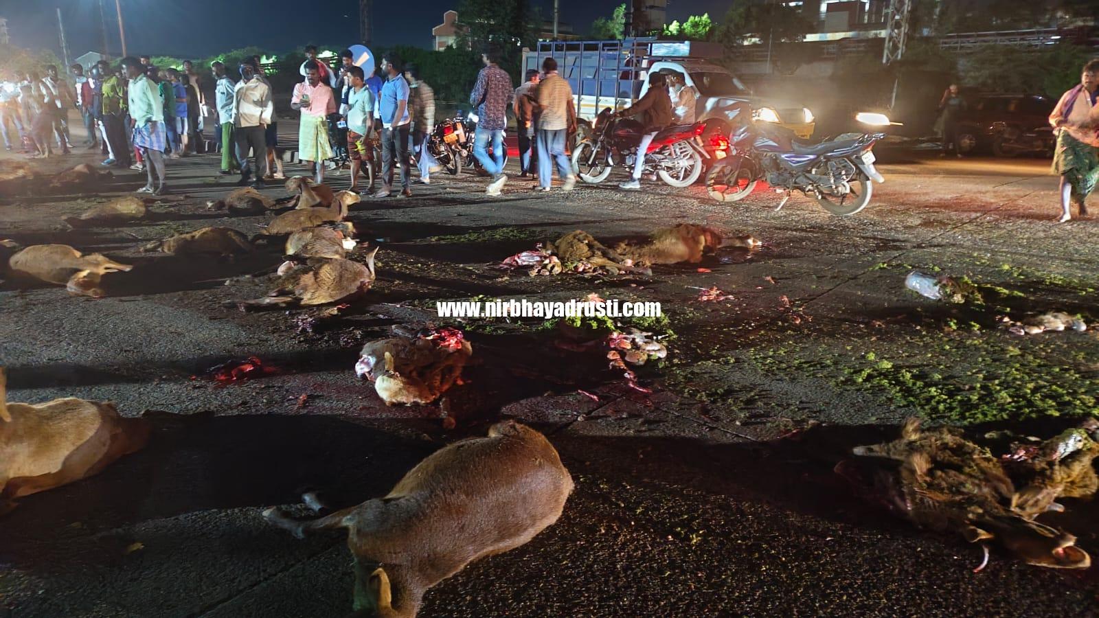 ಟಿಪ್ಪರ್ ಹಾಯ್ದು ನೂರಕ್ಕೂ ಹೆಚ್ಚು ಕುರಿ ಸಾವು